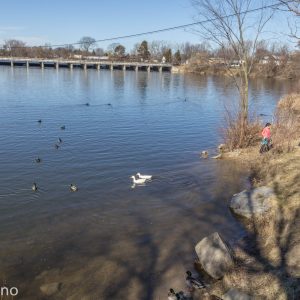 33923925_1996431487048419_8740528055342071808_n