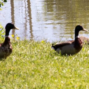 487503385_9951508448207310_5011122995368436454_n