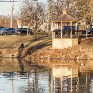 53852508_2433493990008831_7734985377085128704_n